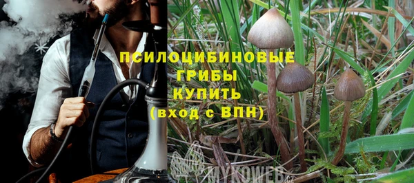 твердый Алексин