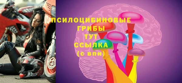 твердый Алексин