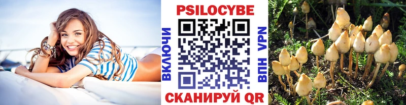 Галлюциногенные грибы Psilocybine cubensis  Щигры 